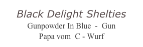 Black Delight Shelties
Gunpowder In Blue  -  Gun
Papa vom  C - Wurf